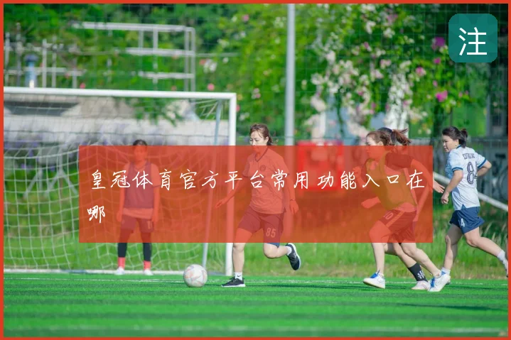 皇冠体育官方平台常用功能入口在哪